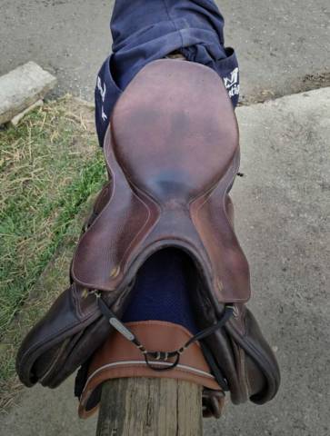 Sella da salto ostacoli Prestige Italia  17.5" - 2016