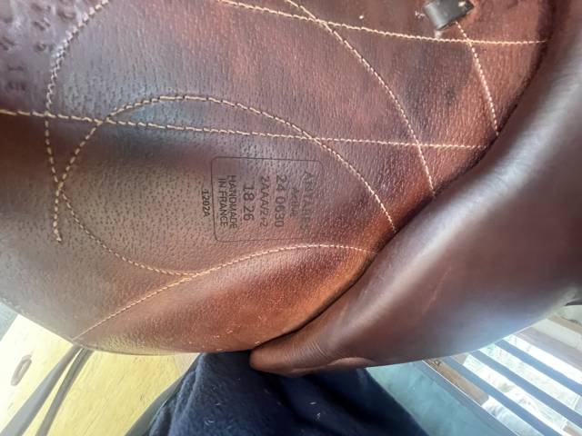 Sella da cross Antarès  18" - 2024