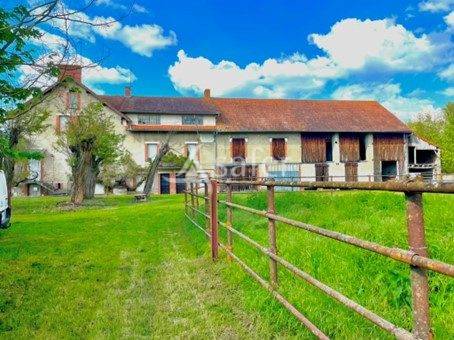 Azienda agricola In vendita Allier