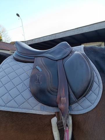 Sella mista Ikonic  17" - 2022