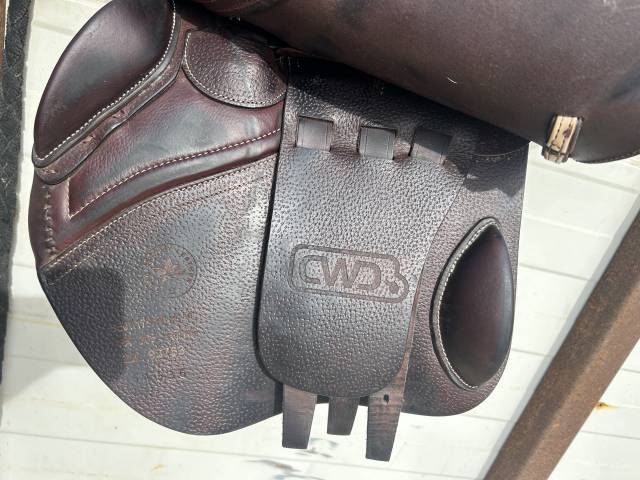 Sella da salto ostacoli CWD  17.5" - 2022