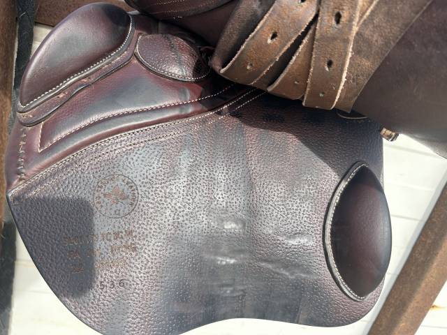 Sella da salto ostacoli CWD  17.5" - 2022