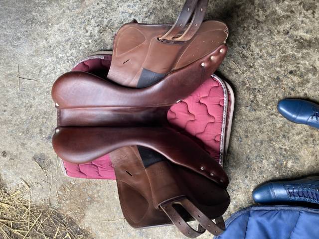 Sella da cross CWD  17.5" - 2009