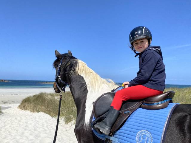 Sella da salto ostacoli Ikonic  17" - 2019