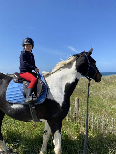 Sella da salto ostacoli Ikonic  17" - 2019