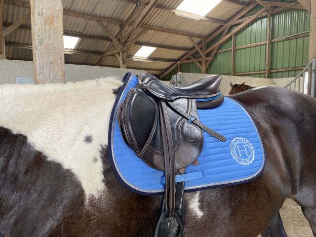 Sella da salto ostacoli Ikonic  17" - 2019