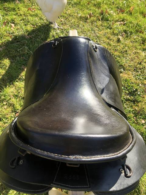 Sella da trekking TH Cuir Trec Prestige  18" - 2004