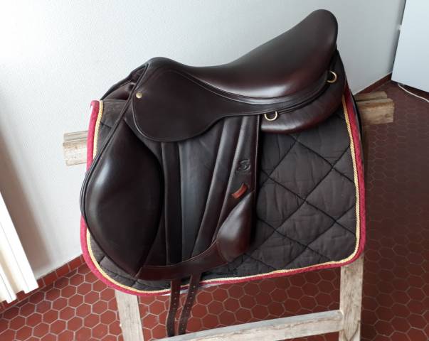 Sella mista Forestier  17" - 2013