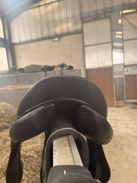 Sella da salto ostacoli Forestier  17" - 2023