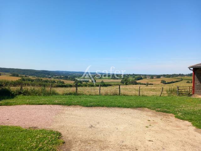 Azienda agricola In vendita Saône-et-Loire