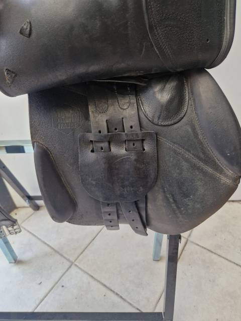 Sella mista Forestier  17" - 2015