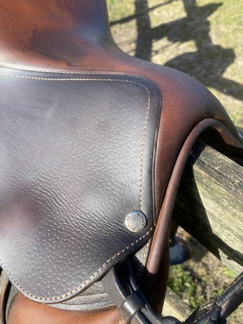 Sella da salto ostacoli Butet  16.5" - 2014