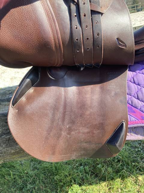 Sella da salto ostacoli Antarès  17.5" - 2021