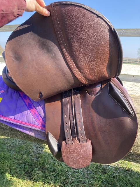 Sella da salto ostacoli Antarès  17.5" - 2021