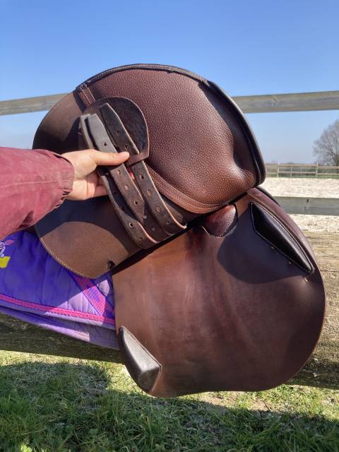 Sella da salto ostacoli Antarès  17.5" - 2021