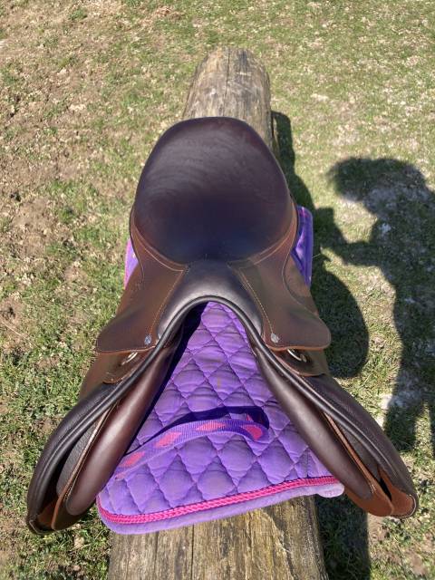 Sella da salto ostacoli Antarès  17.5" - 2021