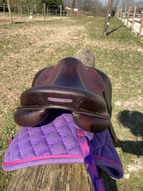 Sella da salto ostacoli Antarès  17.5" - 2021