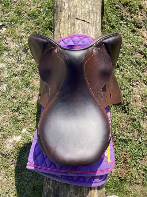 Sella da salto ostacoli Antarès  17.5" - 2021