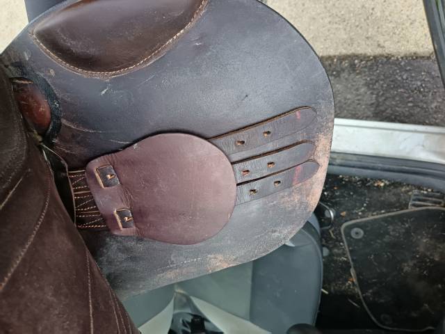 Sella mista Baude  17.5" - 2020