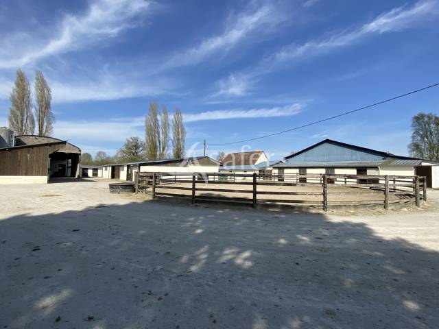 Proprietà equestre In vendita Orne