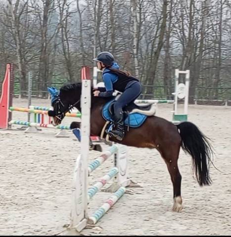 Pony da salto
