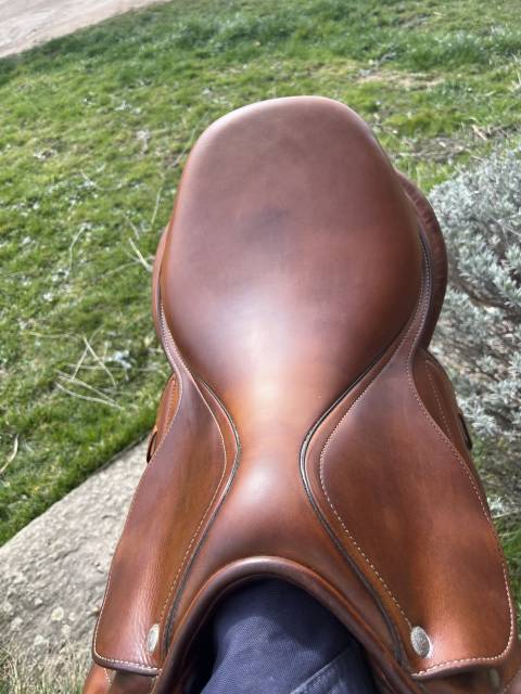 Sella da salto ostacoli Renaissance  17.5" - 2018