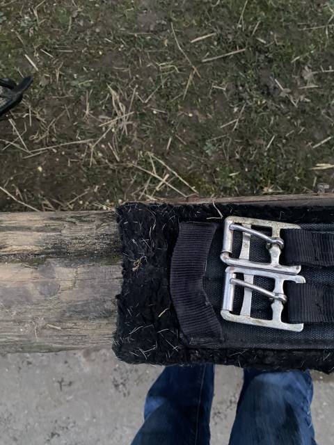 Sella da dressage Bates  17.5" - 2020