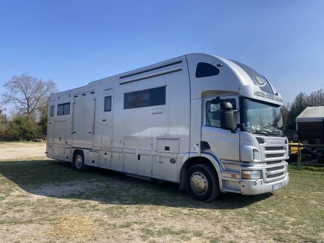Camion per Cavalli STX  2011 Occasione