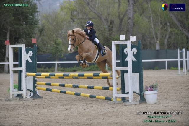 PONY SUPER