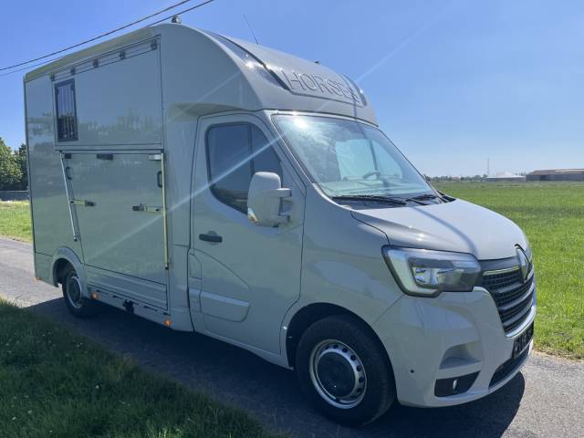 Van per Cavalli Renault Master 2022 Occasione