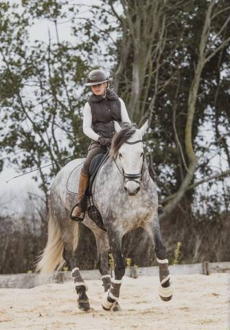 Castrone Lusitano In vendita 2019 Grigio ,  SULTAO SS