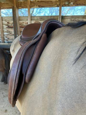 Sella da salto ostacoli Antarès  17" - 2021