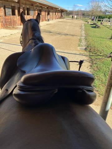 Sella da salto ostacoli Antarès  17" - 2021