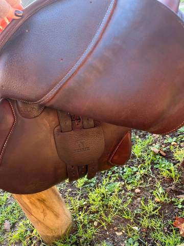 Sella da salto ostacoli Antar&egrave;s  16.5" - 2019