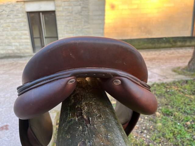 Sella da salto ostacoli Antar&egrave;s  16.5" - 2019