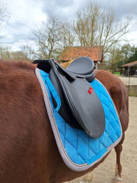 Sella da trekking   18" - 2020