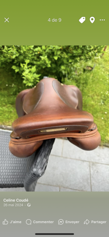 Sella mista Delgrange  17.5" - 2018