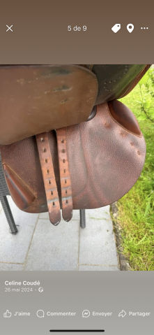 Sella mista Delgrange  17.5" - 2018