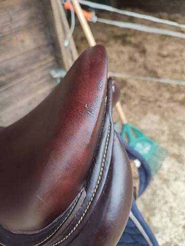 Sella da salto ostacoli Antarès  17" - 2020