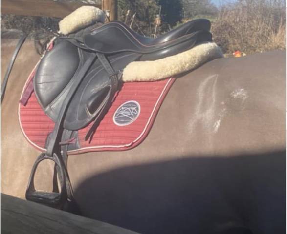 Sella mista Equipe  16.5" - 2016