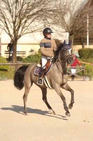 SUPER PONY?