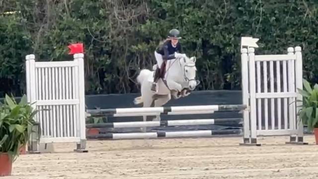 Bravissima pony