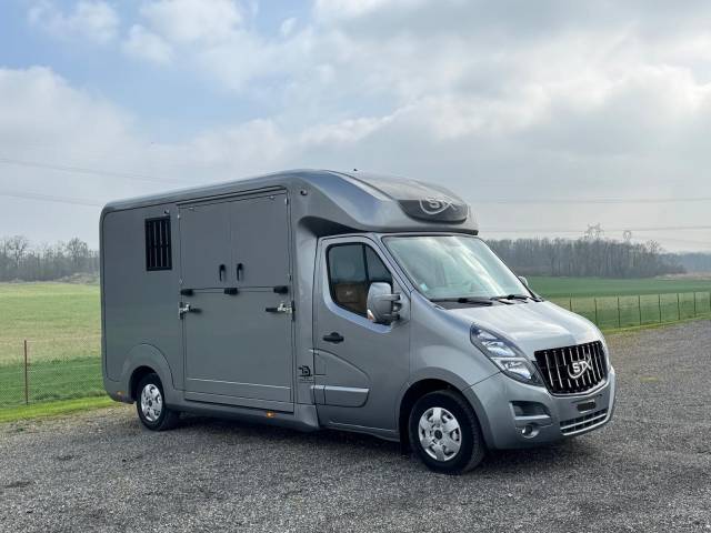 Van per Cavalli STX OPEL 2021 Occasione