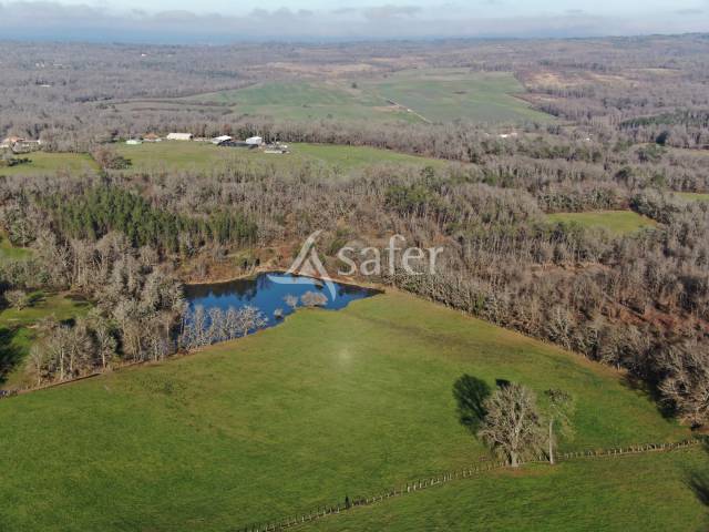 Azienda ovina In vendita Dordogne