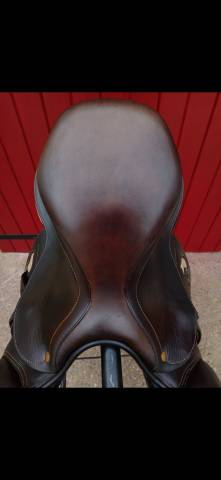 Sella da salto ostacoli Darroze Mixte 16.5" - 2019