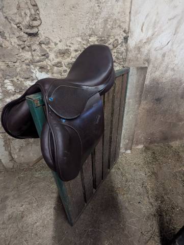 Sella da salto ostacoli Stubben  17.5" - 2024