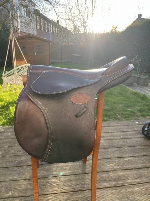 Bareback  Évolution jumping 14" - 2015