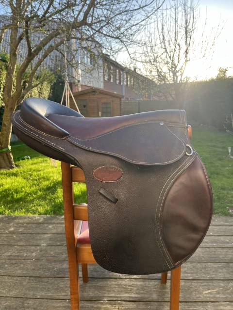 Bareback  Évolution jumping 14" - 2015