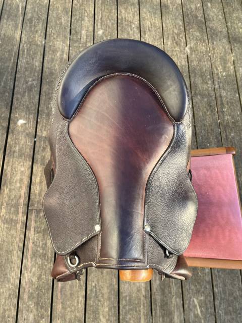 Bareback  Évolution jumping 14" - 2015