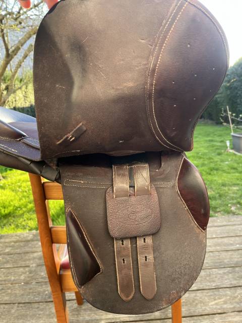 Bareback  Évolution jumping 14" - 2015